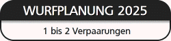 Wurfplanung